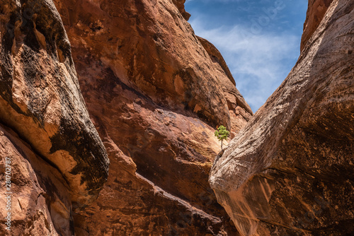 Landscape Photos from Colorado National Monument