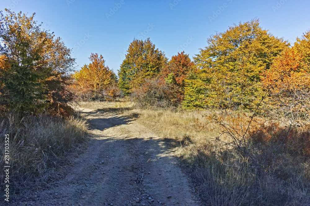 Landscape of Cherna Gora mountain, Bulgaria Landscape of Cherna Gora mountain, Bulgaria