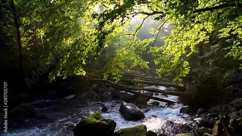 View of river, Shioya, Tochigi Prefecture, Japan photo