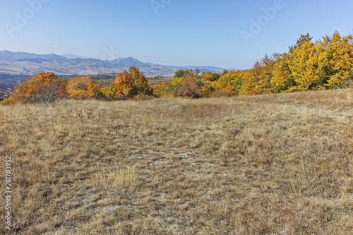 Landscape of Cherna Gora mountain  Bulgaria
