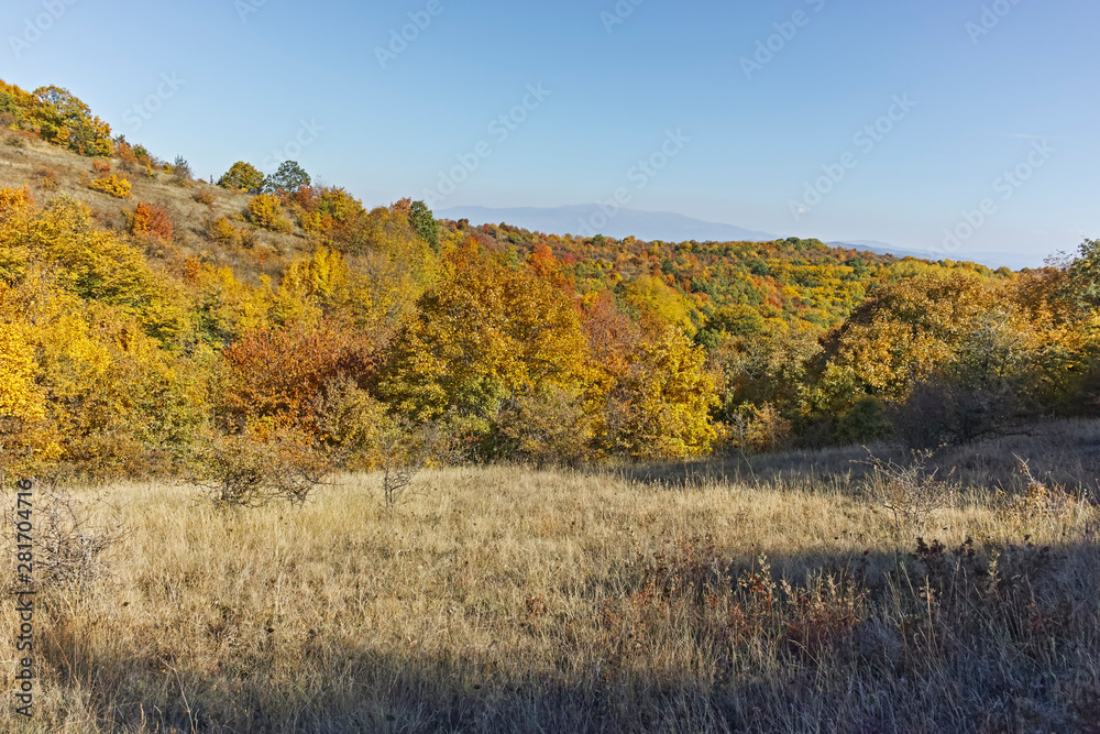 Landscape of Cherna Gora mountain, Bulgaria Landscape of Cherna Gora mountain, Bulgaria