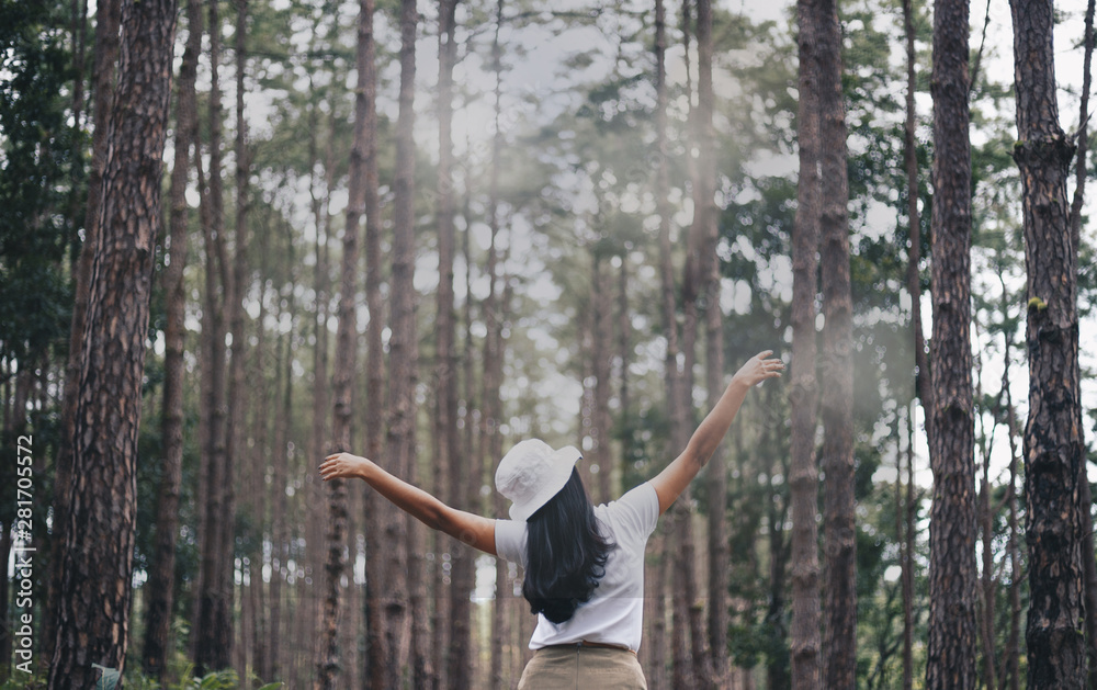 Rear View Of Woman with a raised hand in a pine forest  enjoying nature