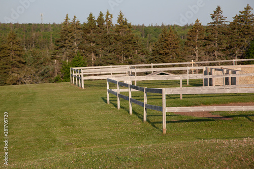 Wooden dog park fence