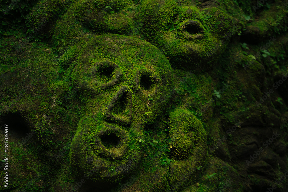 Carving demons faces on wall background covered with moss texture in ...