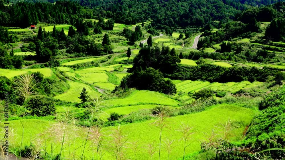 Rice terraces landscape, Tokamichi, Niigata Prefecture, Japan