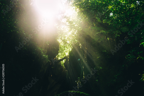 Beautiful sun light rays shining through cave and leaves © Daria