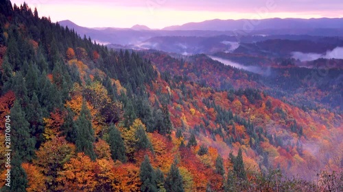 Forest in autumn, Taihei Lake, Kitaakita, Akita Prefecture, Japan photo