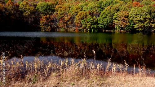 View of lake and forest, Oshu City, Iwate Prefecture photo