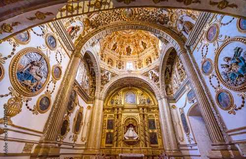 Ornate Ceiling Dome Santo Domingo de Guzman Church Oaxaca Mexico