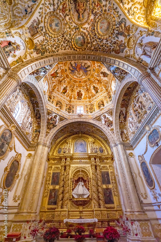 Ornate Ceiling Dome Santo Domingo de Guzman Church Oaxaca Mexico © Bill Perry