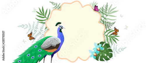 Frame with peacock, tropical plants and butterflies. Vector graphics.