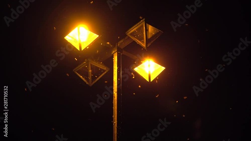 Moths flying around glowing street light photo