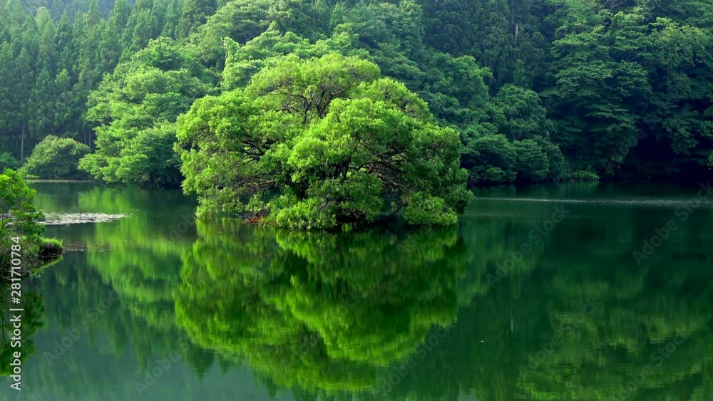 Lake and trees, Nakanoto, Ishikawa Prefecture, Japan Lake and trees, Nakanoto, Ishikawa Prefecture, Japan