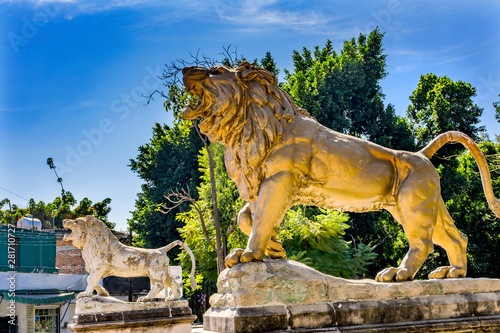 Lion Statues Juarez El Lano Park Oaxaca Juarez Mexico photo