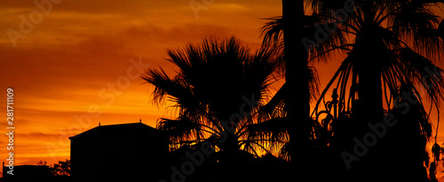 Palmeras a contraluz puesta de sol naranja apaisado photo