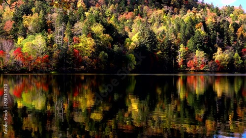 View of forest reflected in lake photo