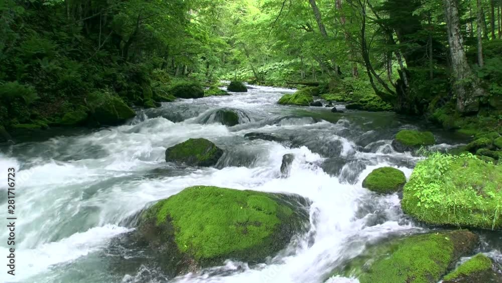 Akan River flowing through green forest, Kushiro, Hokkaido, japan Akan River flowing through green forest, Kushiro, Hokkaido, japan