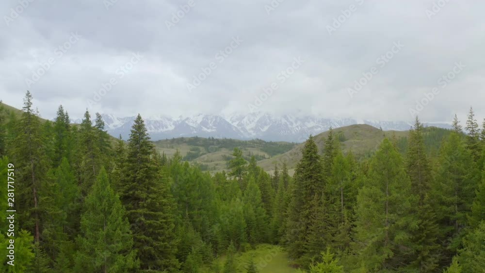 moving forward to pine woods forest and mountain valley with sun flare in summer day. Alps outdoor green nature scape mountains wild aerial establisher.4k drone flight establishing shot. Beautiful vie moving forward to pine woods forest and mountain valley with sun flare in summer day. Alps outdoor green nature scape mountains wild aerial establisher.4k drone flight establishing shot. Beautiful vie