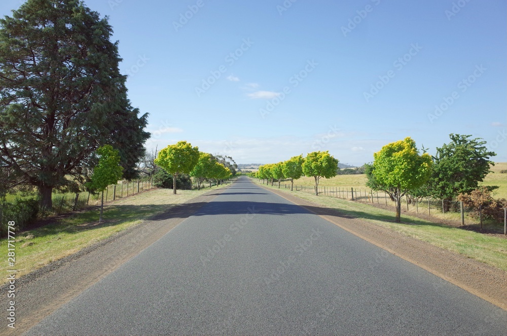 The straight road in Tasmania The straight road in Tasmania