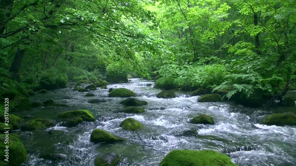 Oirase mountain stream, Towada, Aomori Prefecture, Japan