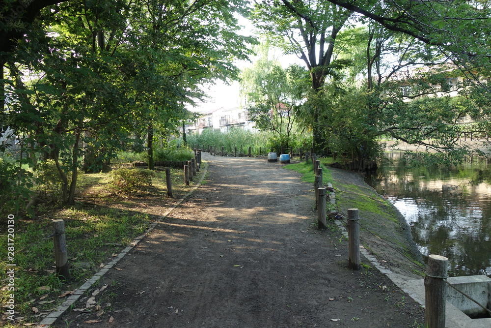 公園内の道