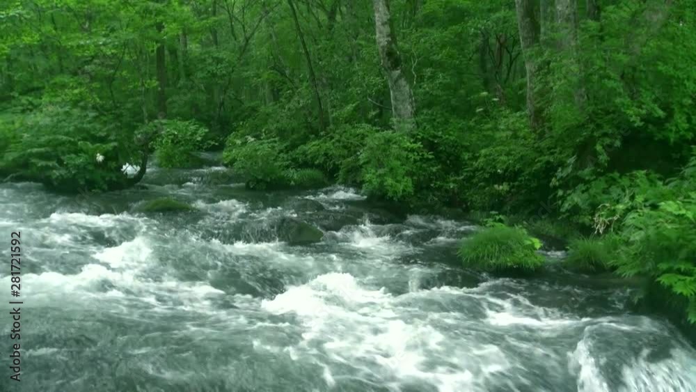 View of river and forest, Towada, Aomori Prefecture, Japan View of river and forest, Towada, Aomori Prefecture, Japan