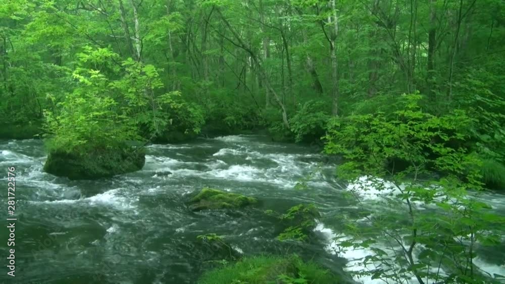 View of river and forest, Towada, Aomori Prefecture, Japan View of river and forest, Towada, Aomori Prefecture, Japan