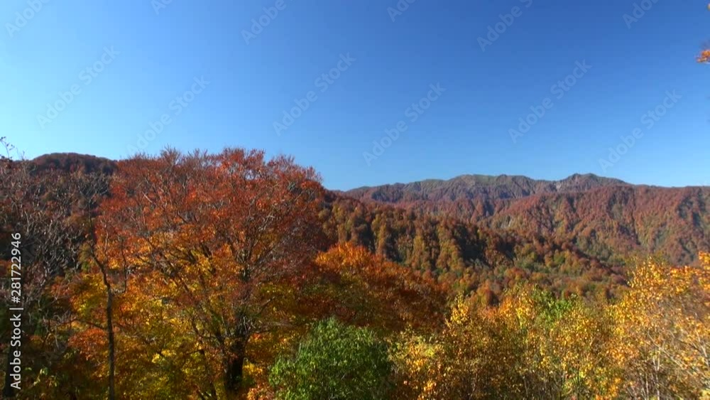 Forest and mountains in autumn, Nishimeya, Aomori Prefecture, Japan Forest and mountains in autumn, Nishimeya, Aomori Prefecture, Japan