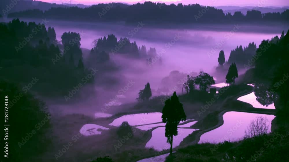 Timelapse of terraced rice fields in fog at sunrise, Japan
