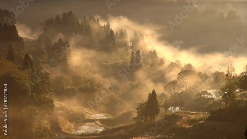 Terraced rice fields in fog at sunrise photo