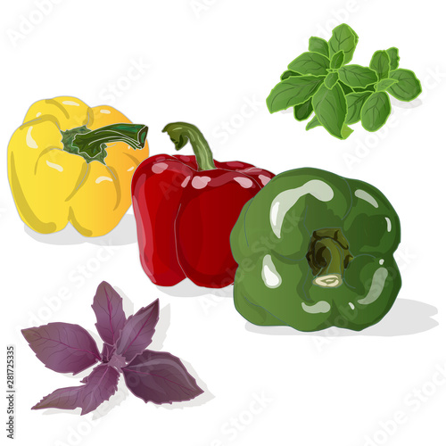 Tasty ripe bell peppers on white background. Vector illustration, separate layers per item