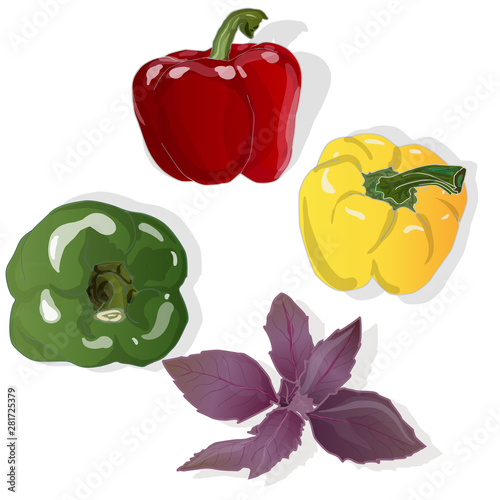 Tasty ripe bell peppers on white background. Vector illustration, separate layers per item