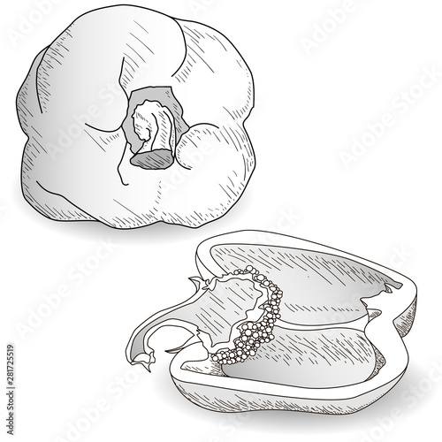 Tasty ripe bell peppers on white background. Vector illustration, separate layers per item