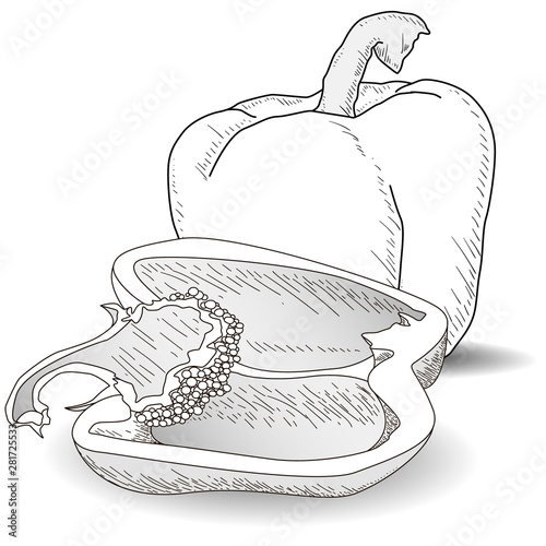 Tasty ripe bell peppers on white background. Vector illustration, separate layers per item