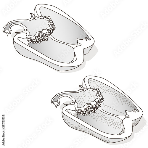 Tasty ripe bell peppers on white background. Vector illustration, separate layers per item