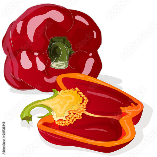 Tasty ripe bell peppers on white background. Vector illustration, separate layers per item