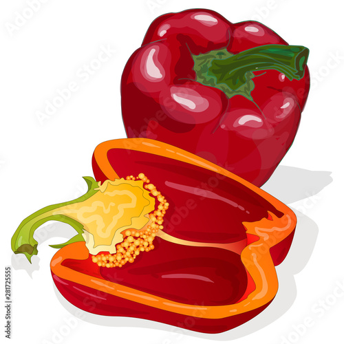 Tasty ripe bell peppers on white background. Vector illustration, separate layers per item