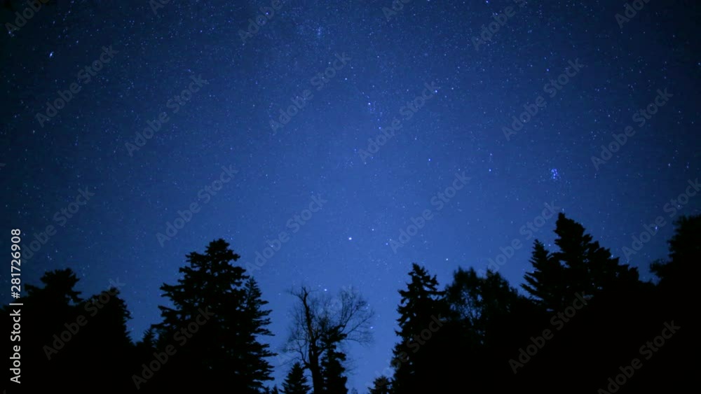 Timelapse of starry night sky over forest trees Timelapse of starry night sky over forest trees
