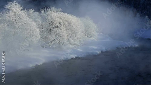 River and trees in winter photo