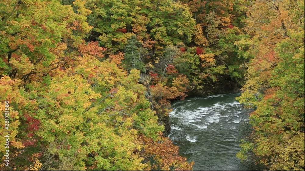 River in forest in autumn, Jozankei Onsen, Sapporo, Hokkaido, Japan River in forest in autumn, Jozankei Onsen, Sapporo, Hokkaido, Japan