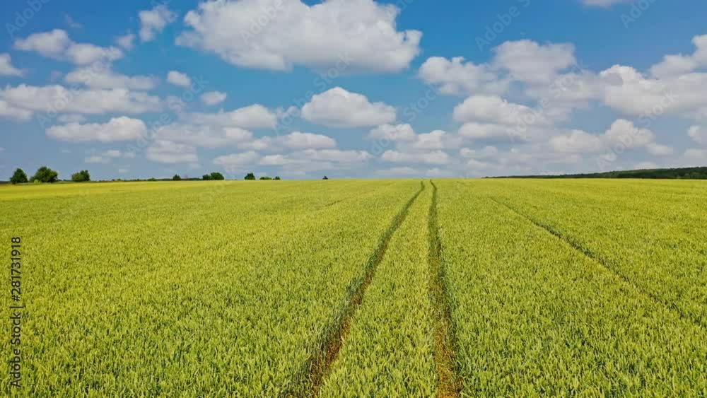 Drone fly over the field in spring. Plantation field of farmland under the blue sky with white clouds. Motion camera to the left. Drone fly over the field in spring. Plantation field of farmland under the blue sky with white clouds. Motion camera to the left.