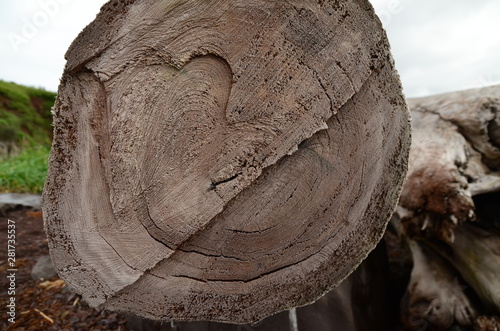 texture saw cut old dry wood