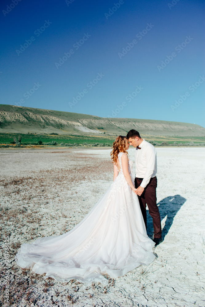 Happy newlywed couple. Beautiful bride and groom in a suit.