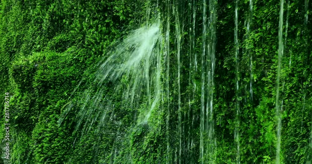 Falling water with moss in background Falling water with moss in background