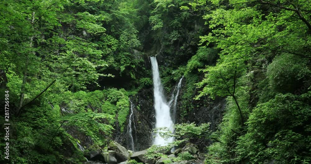 Waterfall in forest, Nikko, Tochigi Prefecture, Japan Waterfall in forest, Nikko, Tochigi Prefecture, Japan