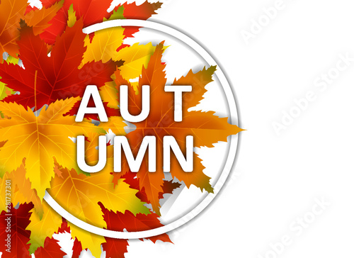 Autumn Background Template  with falling bunch of leaves  shopping sale or seasonal poster