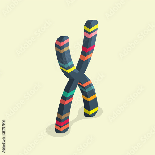 Illustration of chromosome in isometric style
