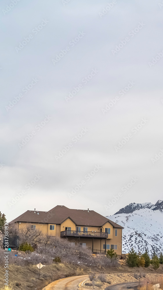 Vertical frame Homes and road on a hill with an overcast sky overhead in winter