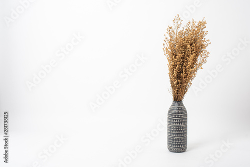 Beautiful dry flower in vase on white background