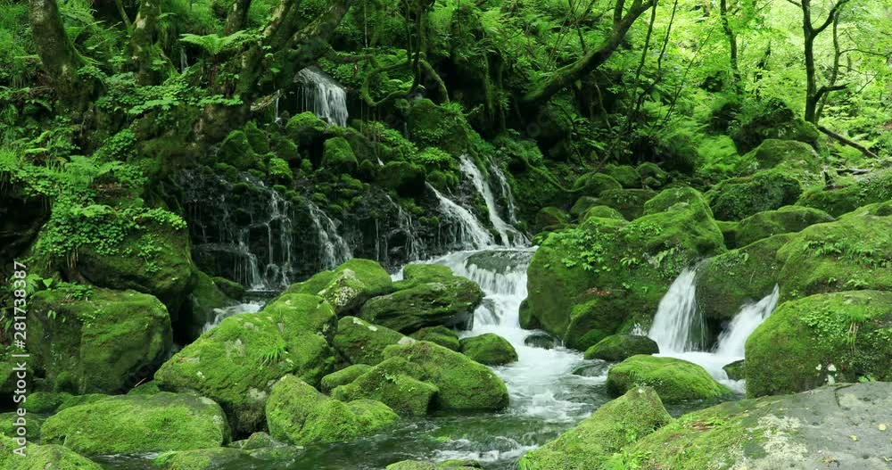 Waterfall in forest Waterfall in forest
